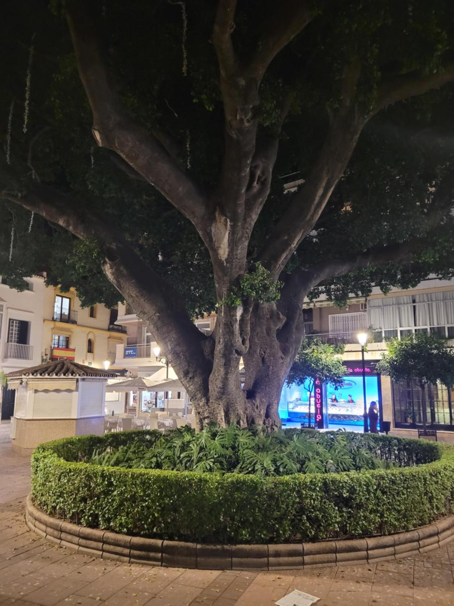 Fuengirola Center Sweet&Beach Kültér fotó